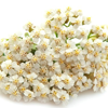 Estratto di achillea